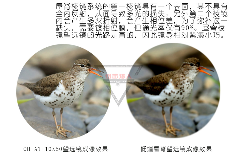 详情页_07.jpg
