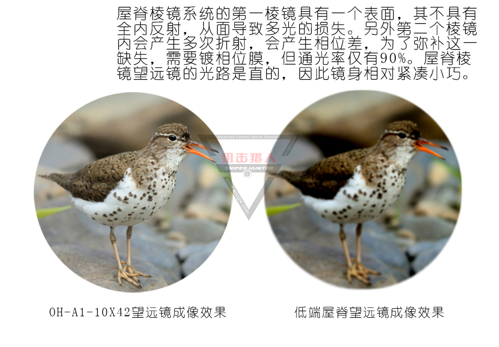 详情页_07.jpg